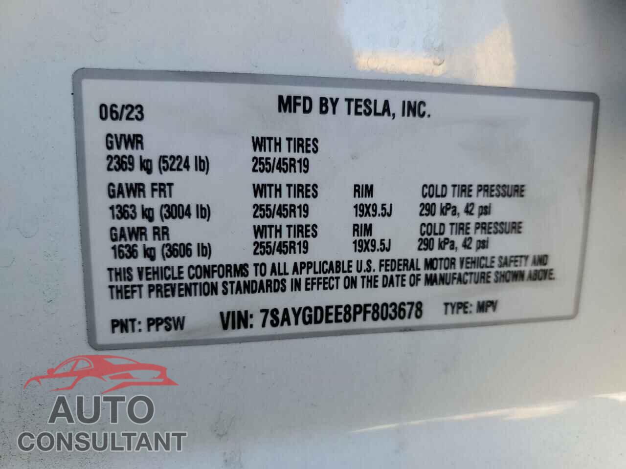 TESLA MODEL Y 2023 - 7SAYGDEE8PF803678