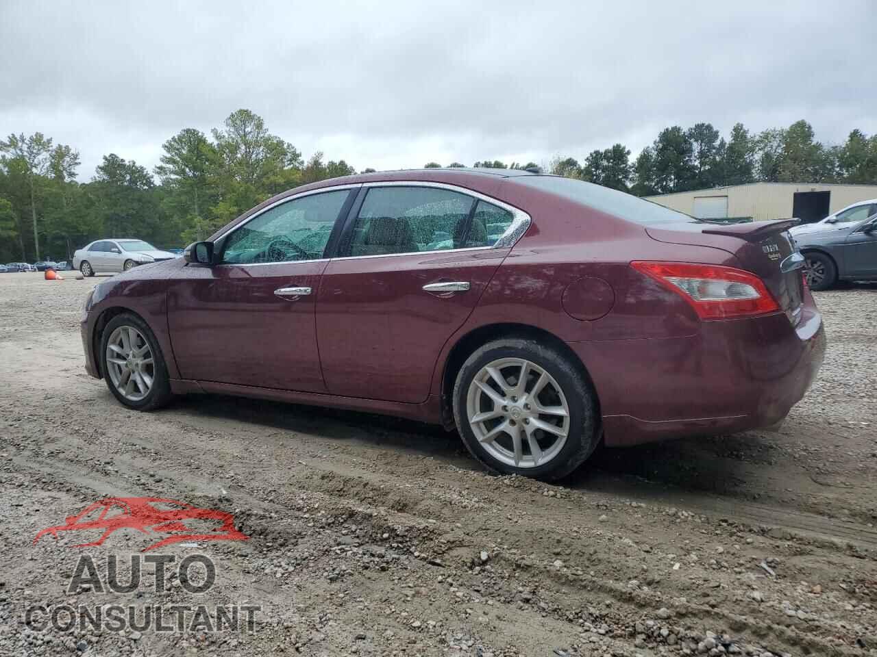 NISSAN MAXIMA 2010 - 1N4AA5AP2AC806020