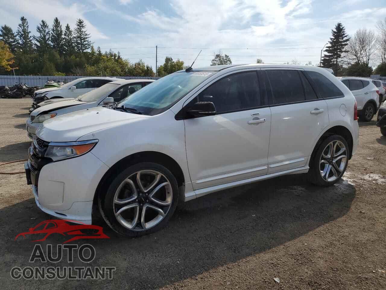 FORD EDGE 2014 - 2FMDK4AK8EBA87165
