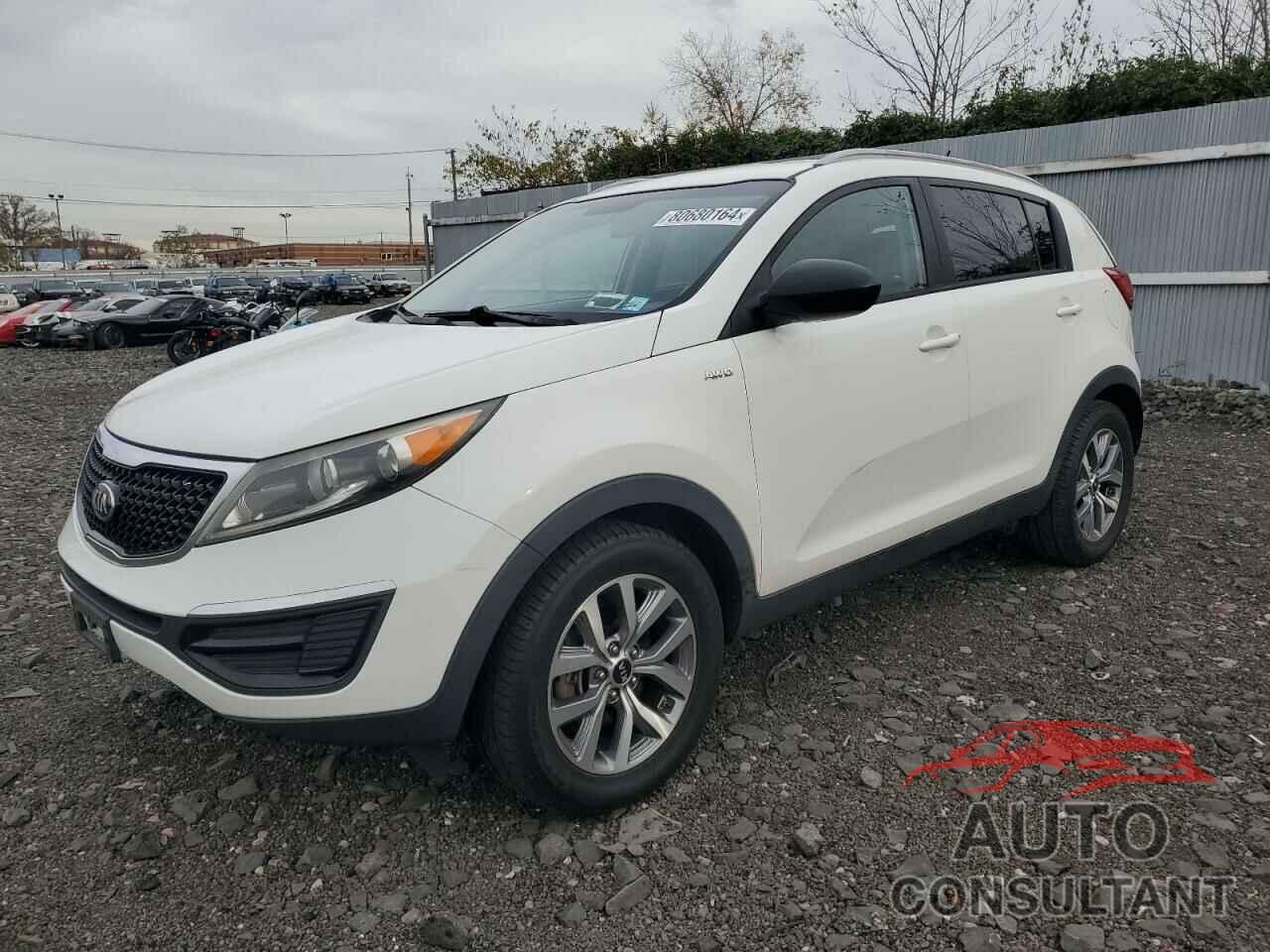 KIA SPORTAGE 2016 - KNDPBCAC0G7815982