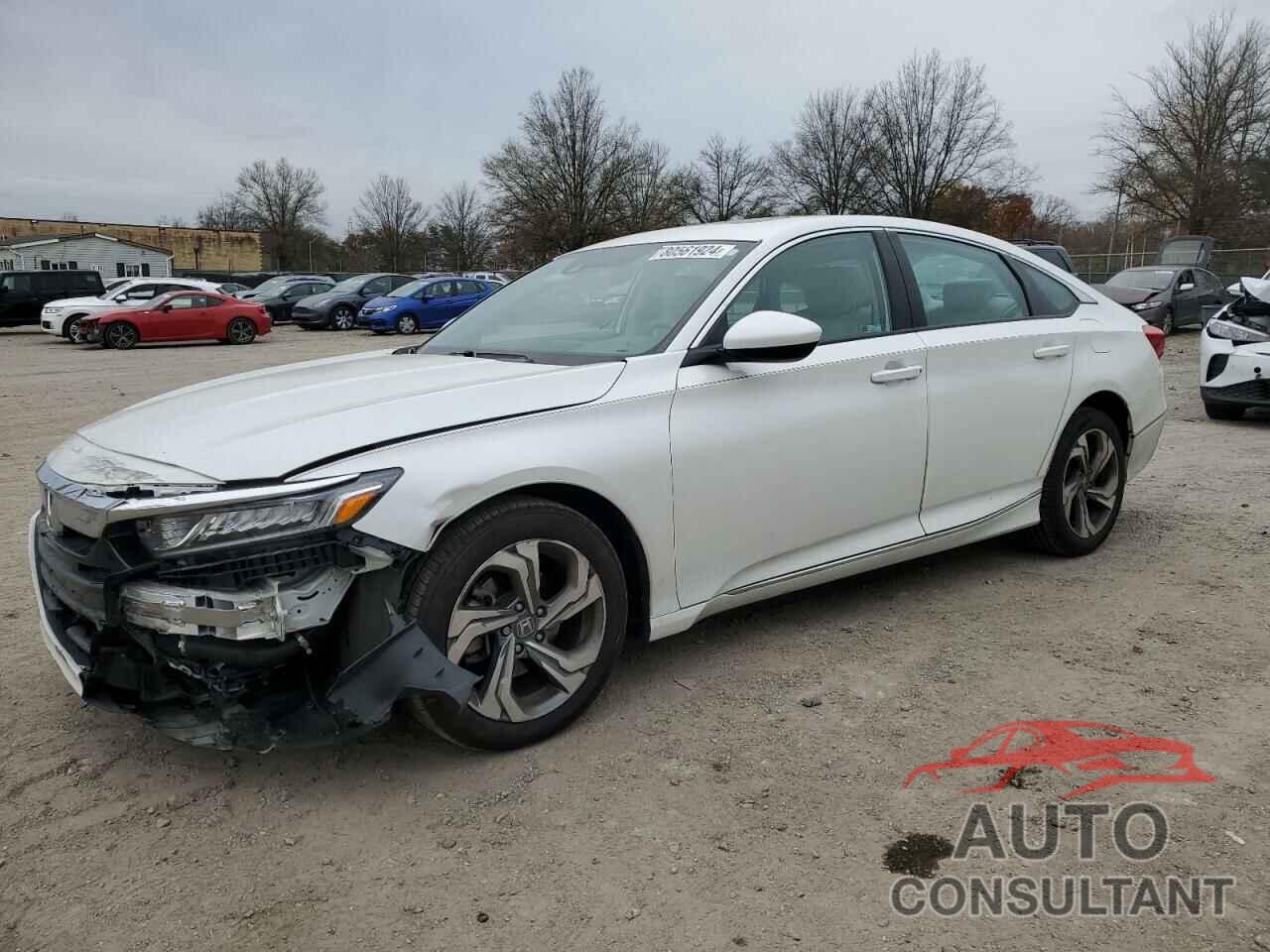 HONDA ACCORD 2019 - 1HGCV1F44KA142526