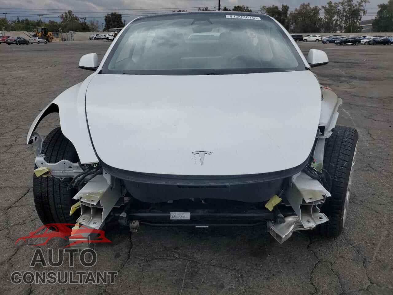 TESLA MODEL 3 2021 - 5YJ3E1EA1MF001364