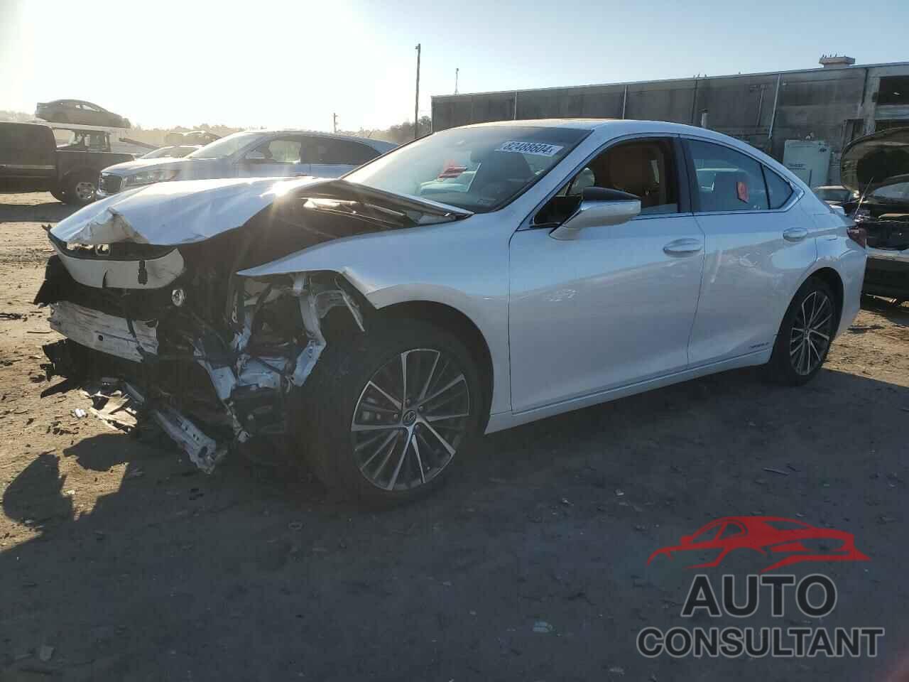 LEXUS ES300 2022 - 58ADA1C18NU021904