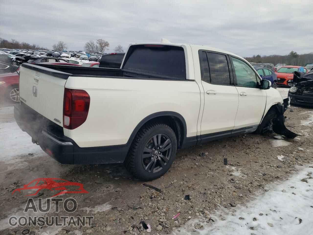 HONDA RIDGELINE 2019 - 5FPYK3F12KB023791