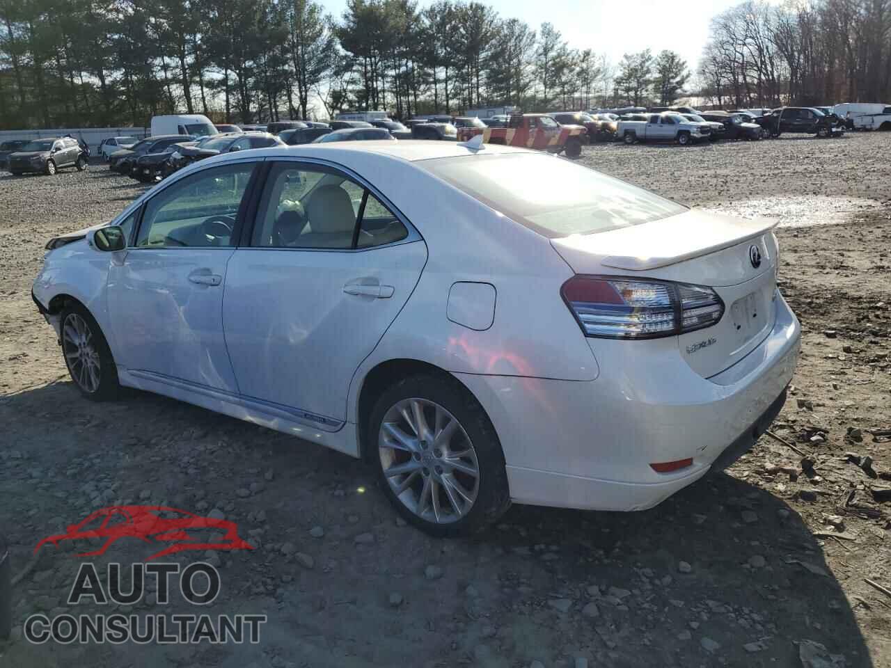 LEXUS HS 2010 - JTHBB1BA8A2019818