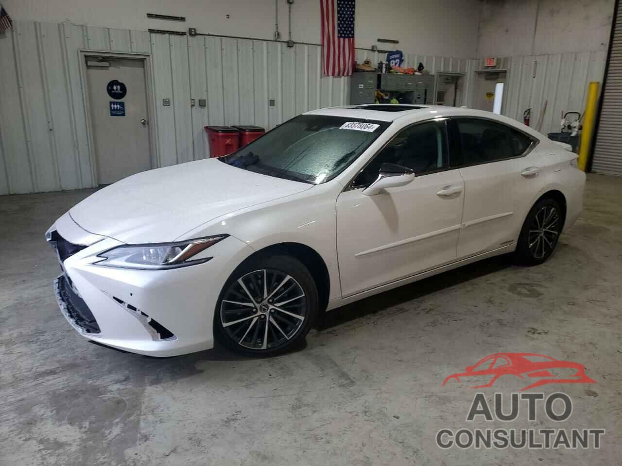 LEXUS ES300 2022 - 58ADA1C16NU021836