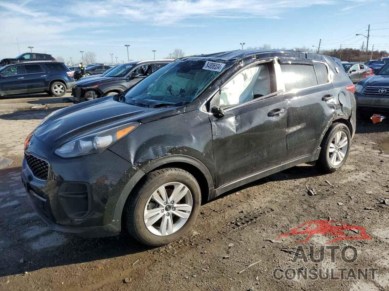 KIA SPORTAGE 2017 - KNDPM3AC4H7134526