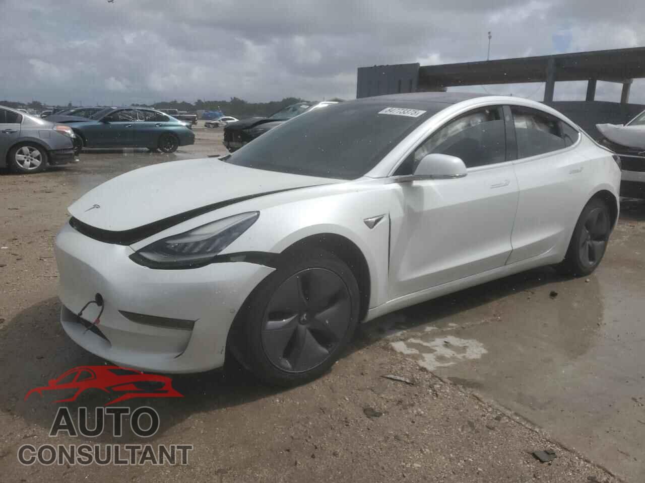 TESLA MODEL 3 2019 - 5YJ3E1EA6KF299956