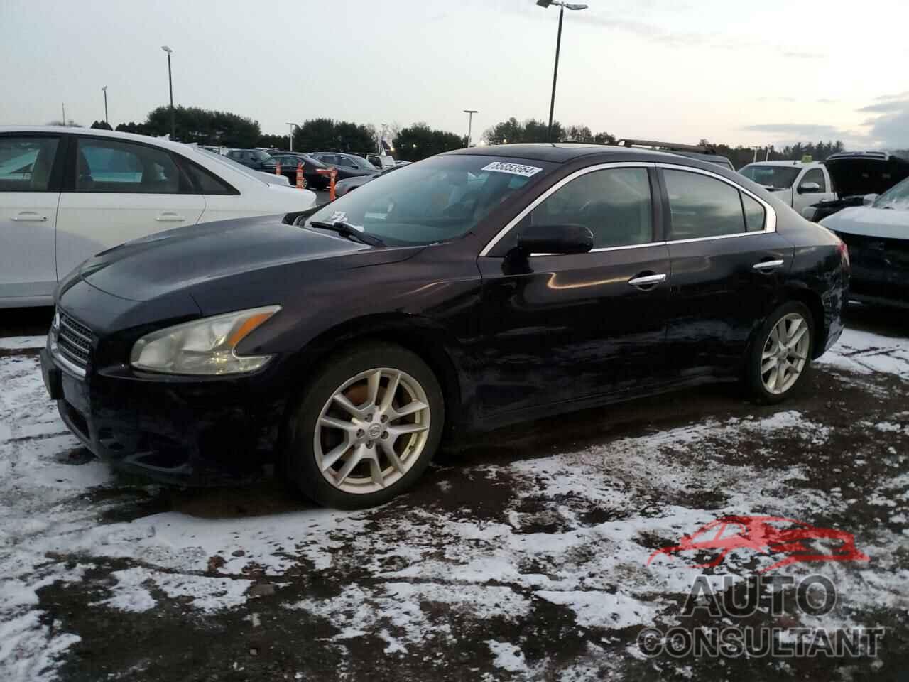 NISSAN MAXIMA 2010 - 1N4AA5AP8AC856212