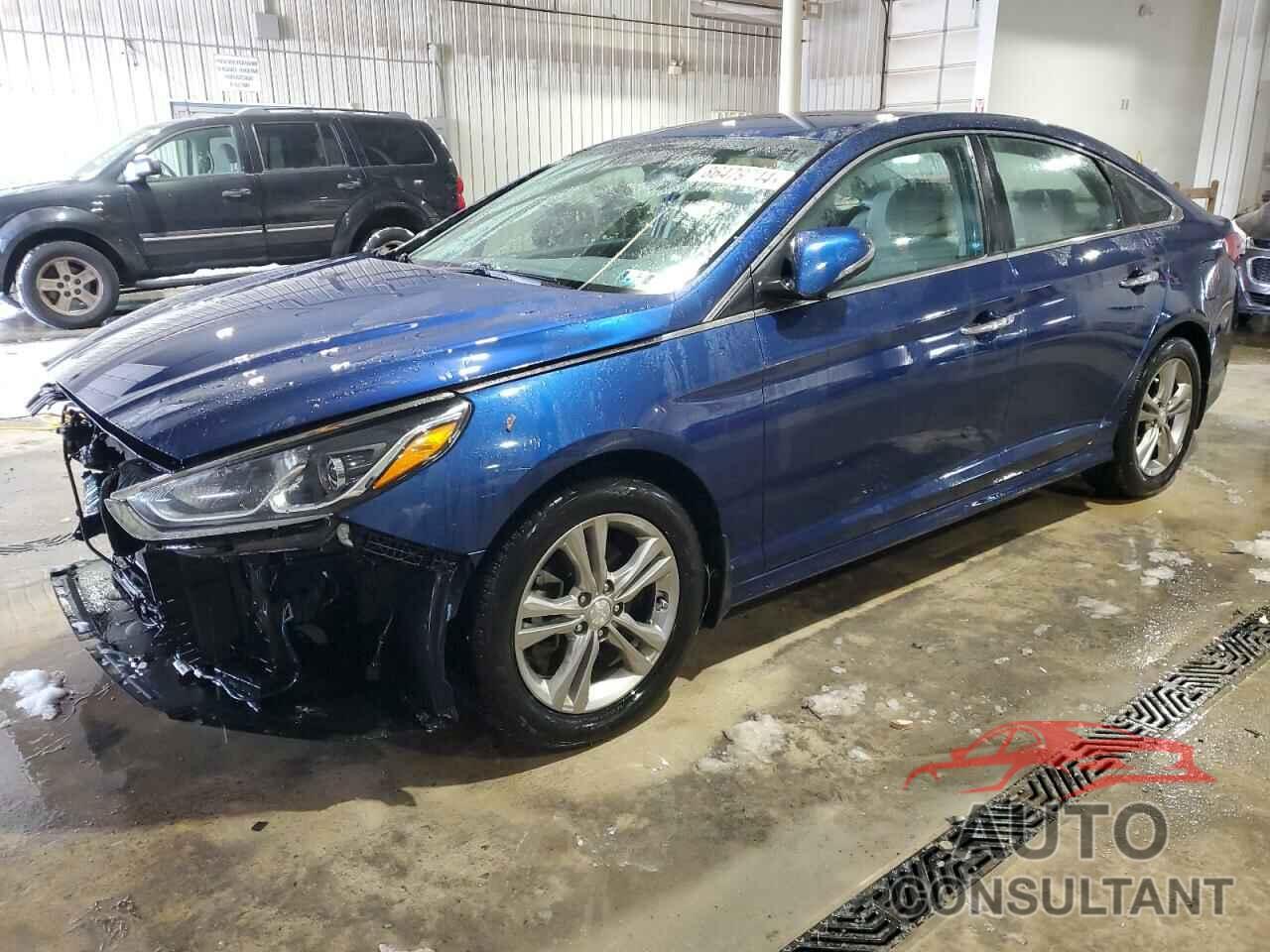 HYUNDAI SONATA 2019 - 5NPE34AF7KH795447