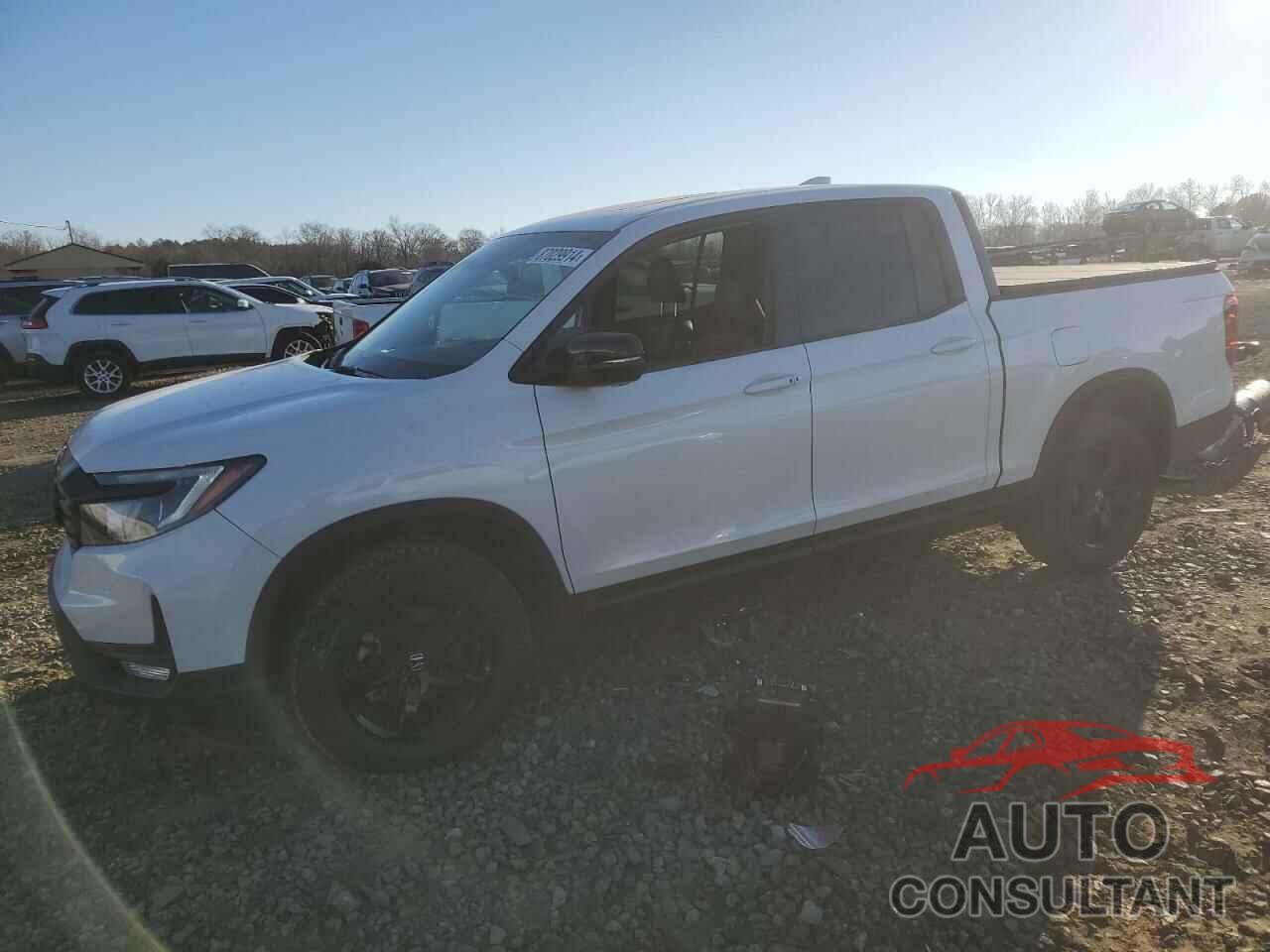HONDA RIDGELINE 2023 - 5FPYK3F82PB055208