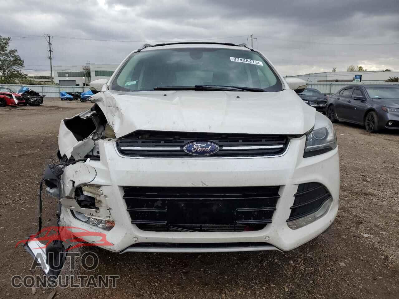 FORD ESCAPE 2013 - 1FMCU9J99DUA01516