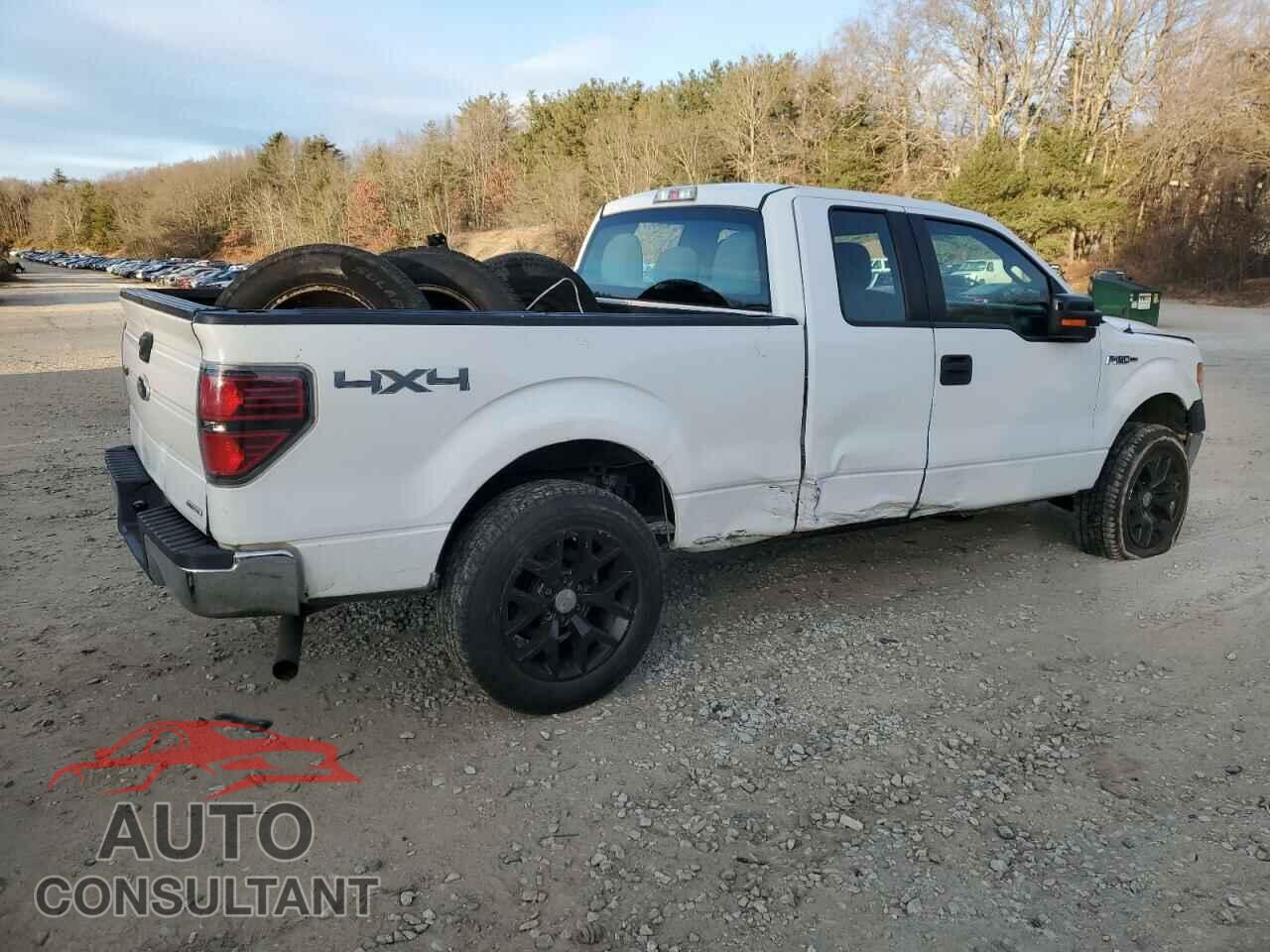 FORD F-150 2011 - 1FTFX1EF0BFC63985