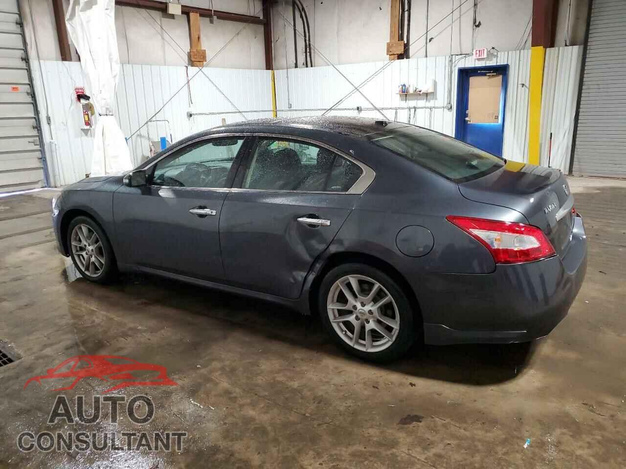 NISSAN MAXIMA 2011 - 1N4AA5AP5BC825565