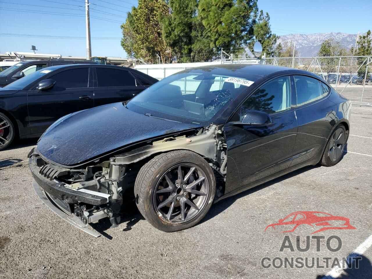 TESLA MODEL 3 2021 - 5YJ3E1EA7MF875556