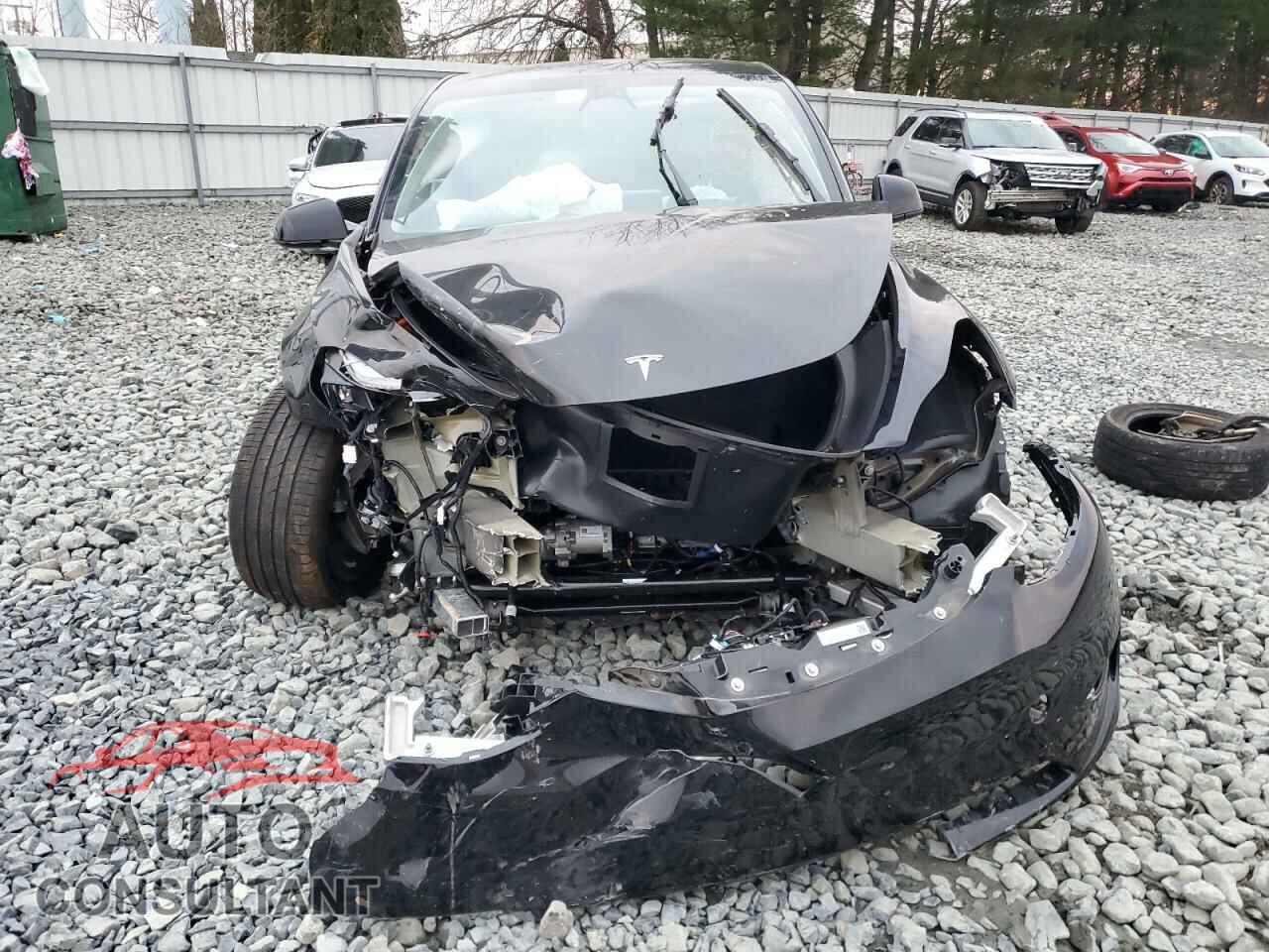 TESLA MODEL Y 2023 - 7SAYGDEE1PF760186