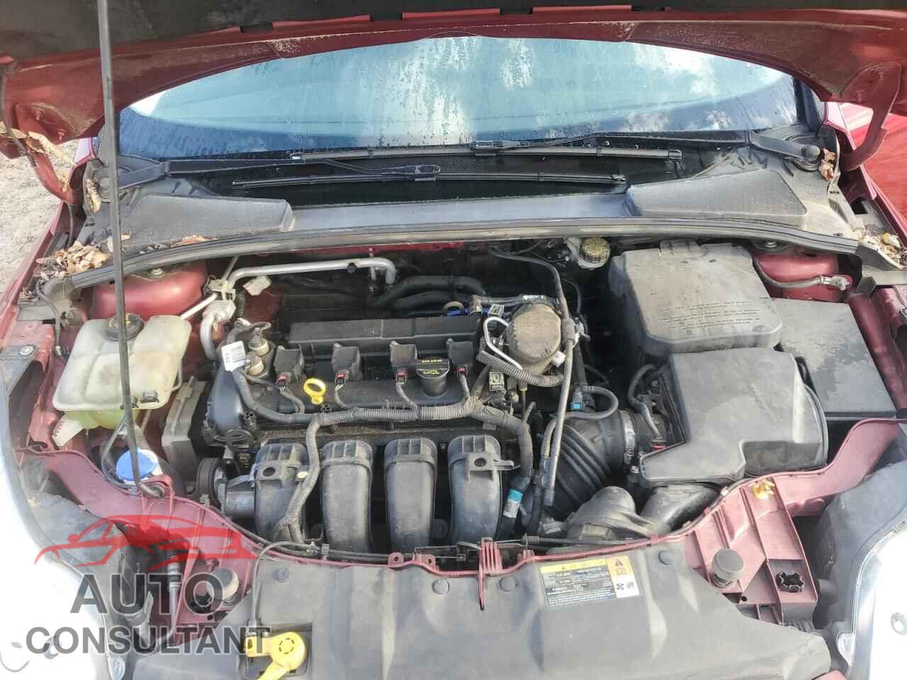 FORD FOCUS 2014 - 1FADP3F22EL233459