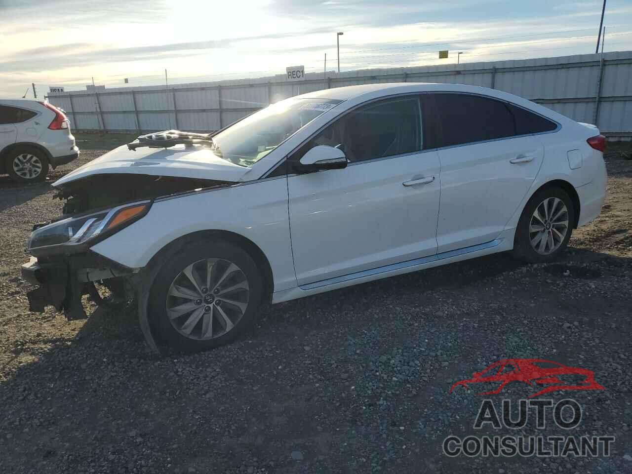 HYUNDAI SONATA 2017 - 5NPE34AF9HH487351