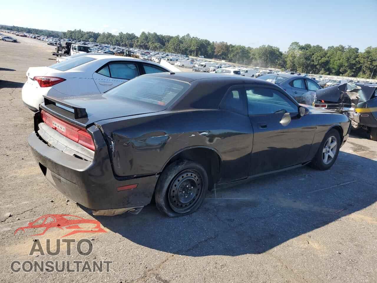 DODGE CHALLENGER 2010 - 2B3CJ4DV3AH205754