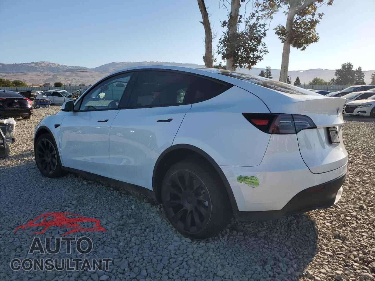 TESLA MODEL Y 2023 - 7SAYGDEE2PF746748