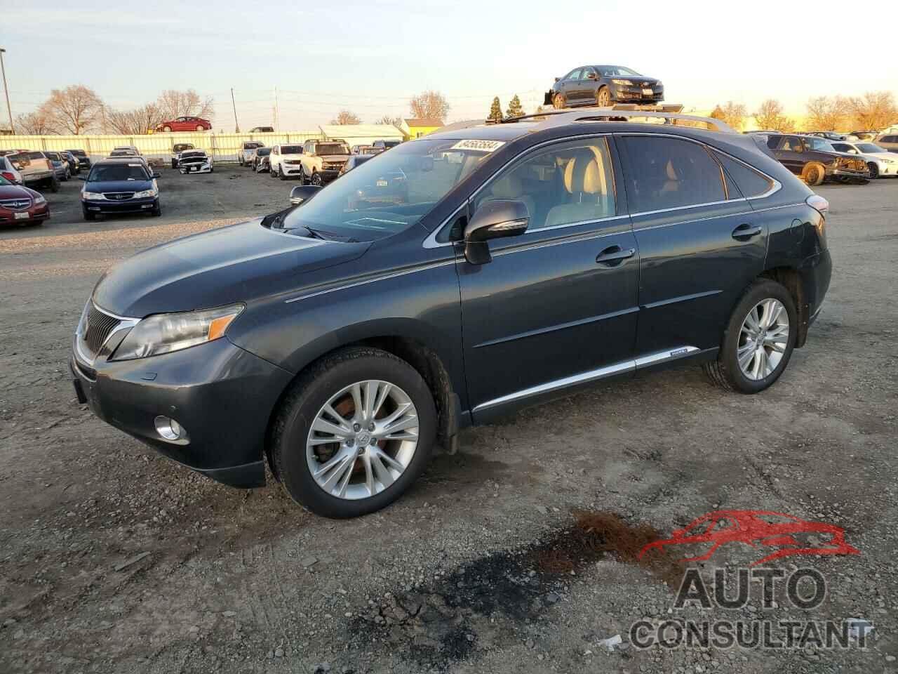 LEXUS RX450 2011 - JTJBC1BA8B2038088