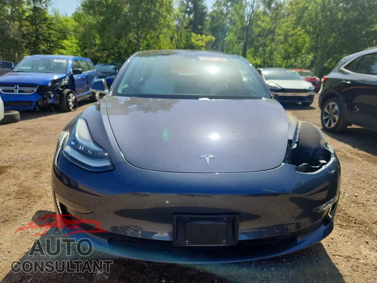 TESLA MODEL 3 2019 - 5YJ3E1EB2KF407272