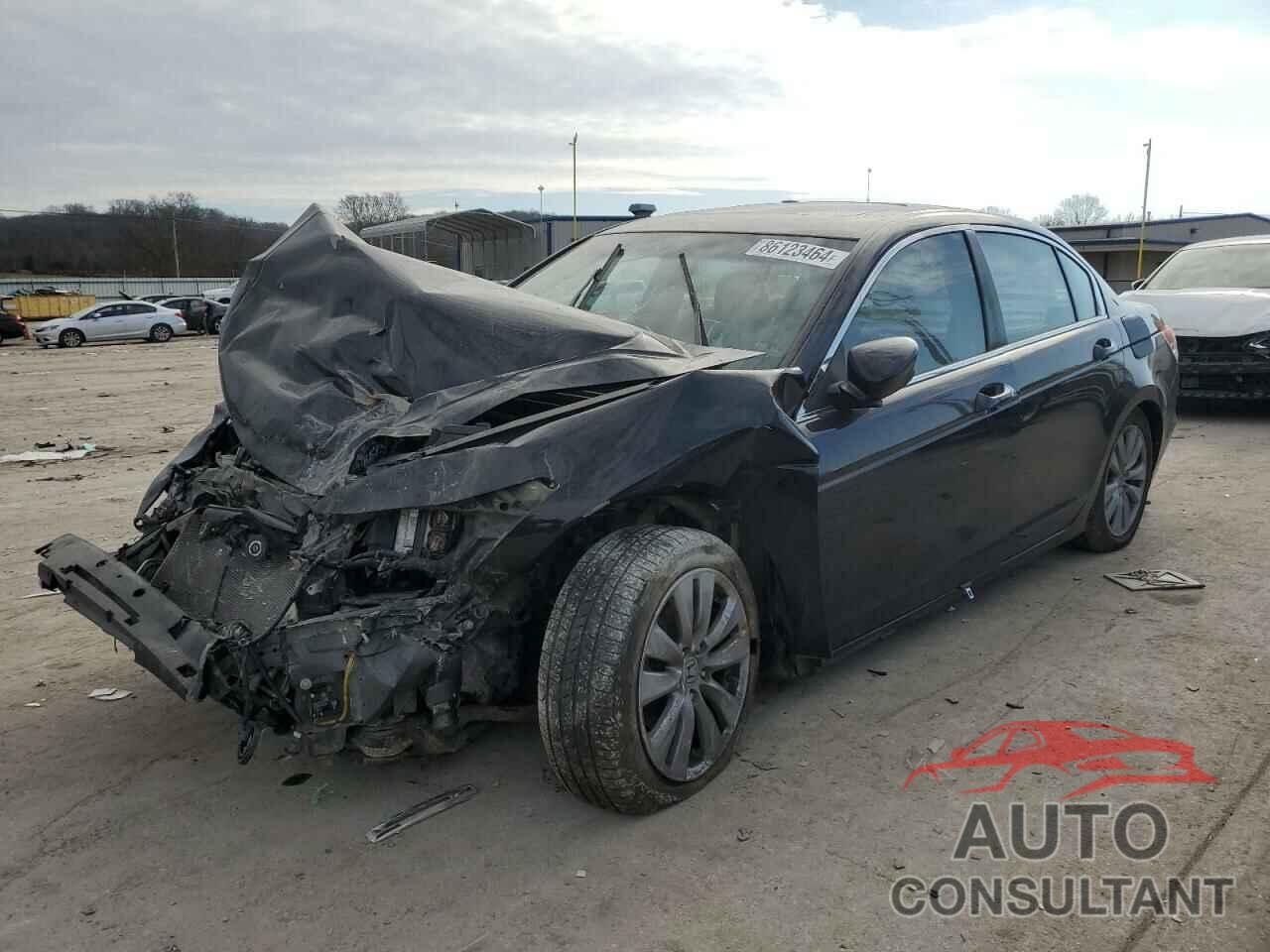 HONDA ACCORD 2011 - 1HGCP2F81BA038045