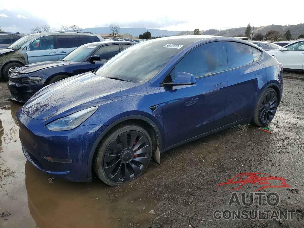 TESLA MODEL Y 2023 - 7SAYGDEF4PF769800