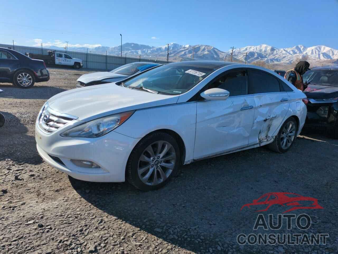 HYUNDAI SONATA 2013 - 5NPEC4AB4DH560908