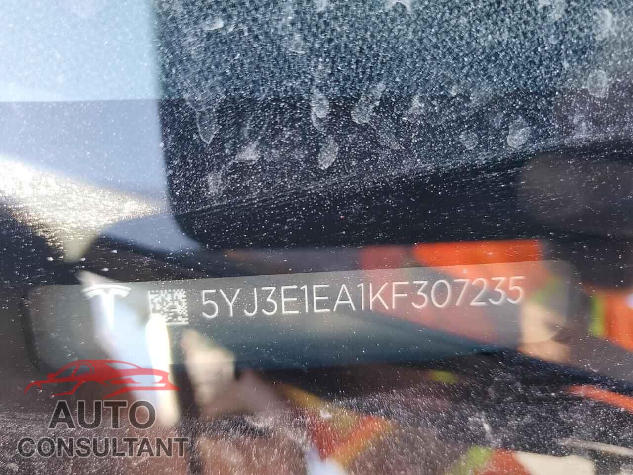 TESLA MODEL 3 2019 - 5YJ3E1EA1KF307235
