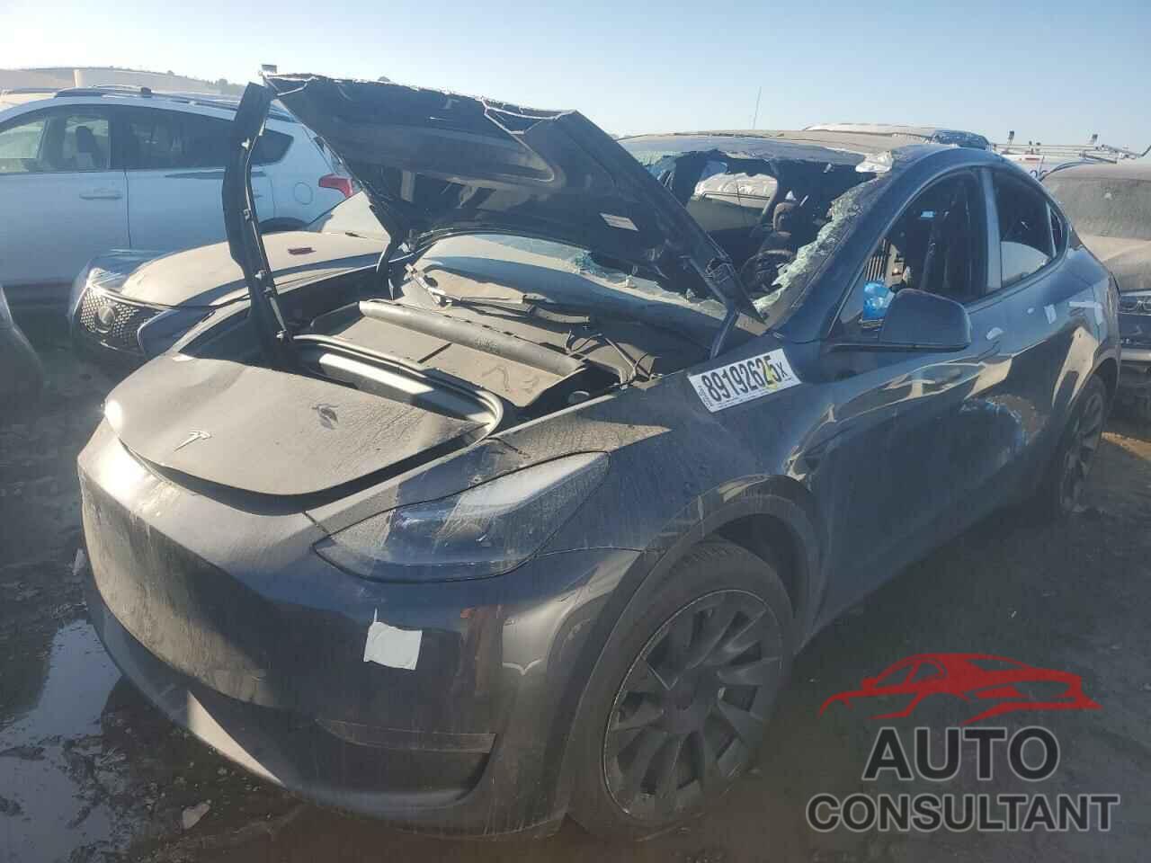 TESLA MODEL Y 2024 - 7SAYGDEE4RA223599