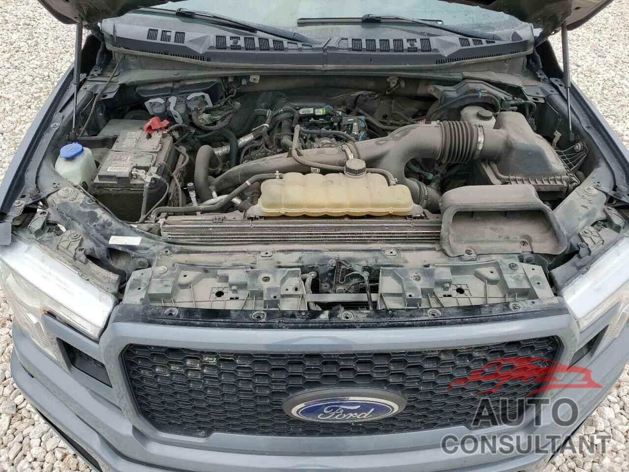 FORD F-150 2020 - 1FTEW1EP8LKD08543