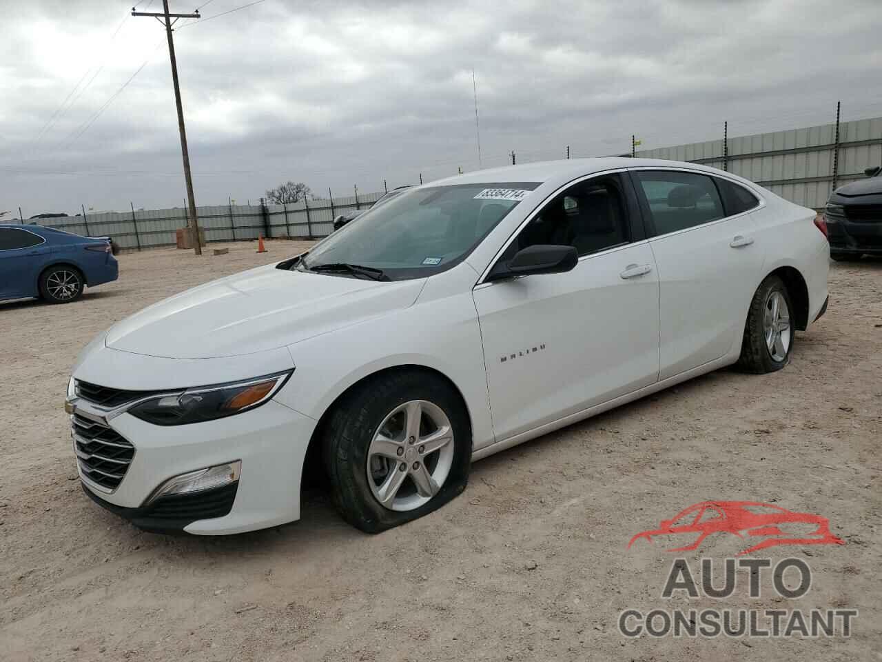 CHEVROLET MALIBU 2019 - 1G1ZB5STXKF223578