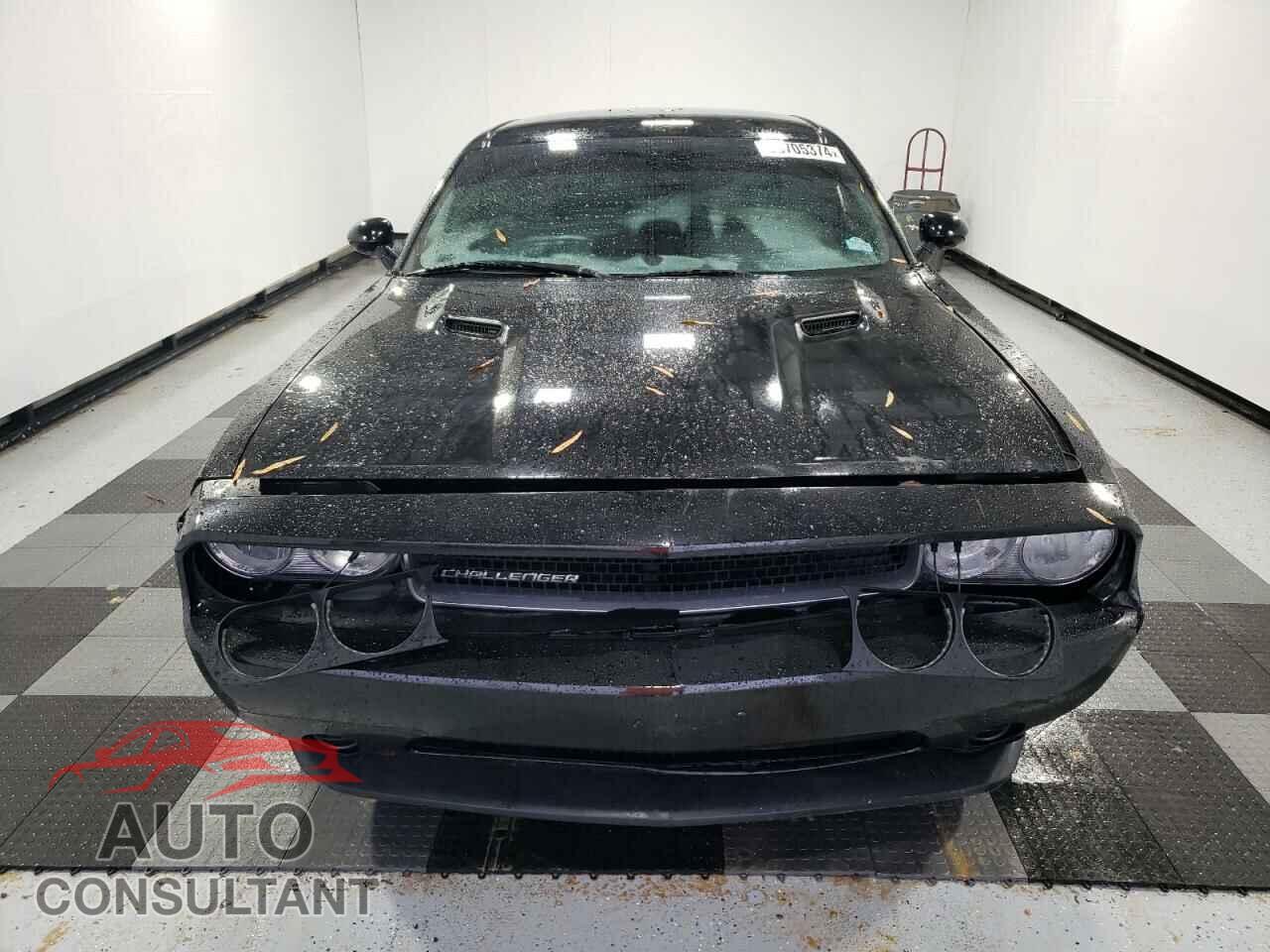 DODGE CHALLENGER 2014 - 2C3CDYAG4EH313815