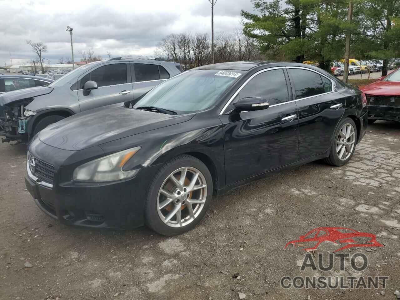 NISSAN MAXIMA 2011 - 1N4AA5AP2BC808237