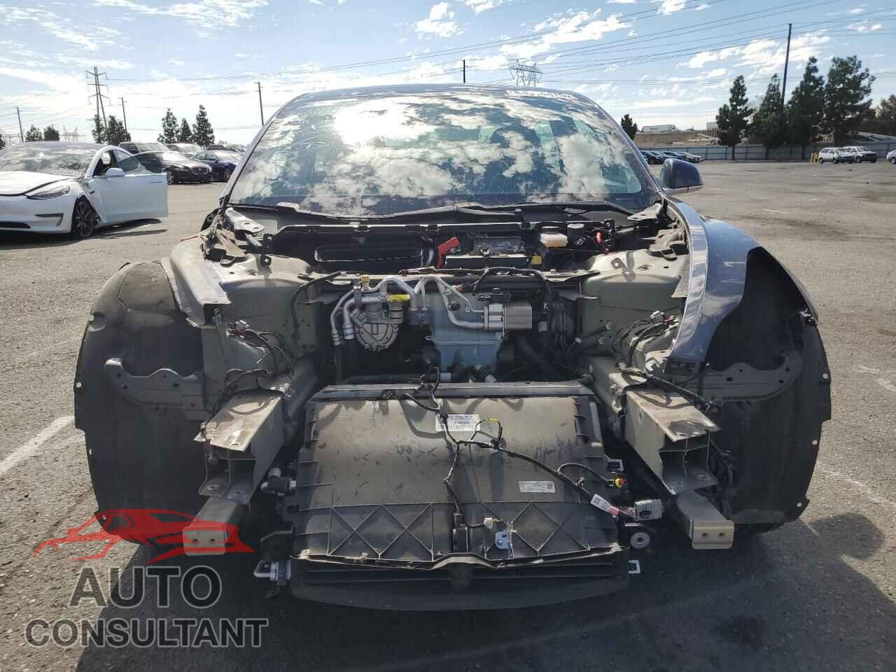 TESLA MODEL 3 2019 - 5YJ3E1EA7KF447449
