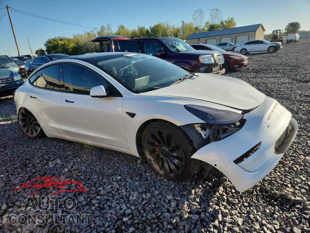 TESLA MODEL 3 2021 - 5YJ3E1EC3MF025781