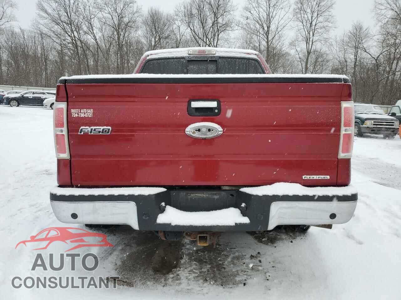 FORD F-150 2013 - 1FTFW1EF5DFC10902