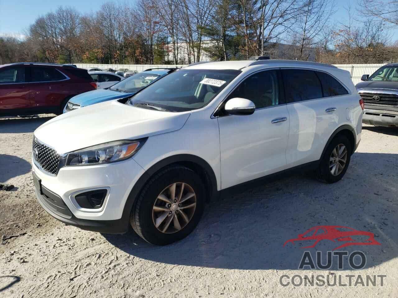 KIA SORENTO 2017 - 5XYPGDA58HG207737