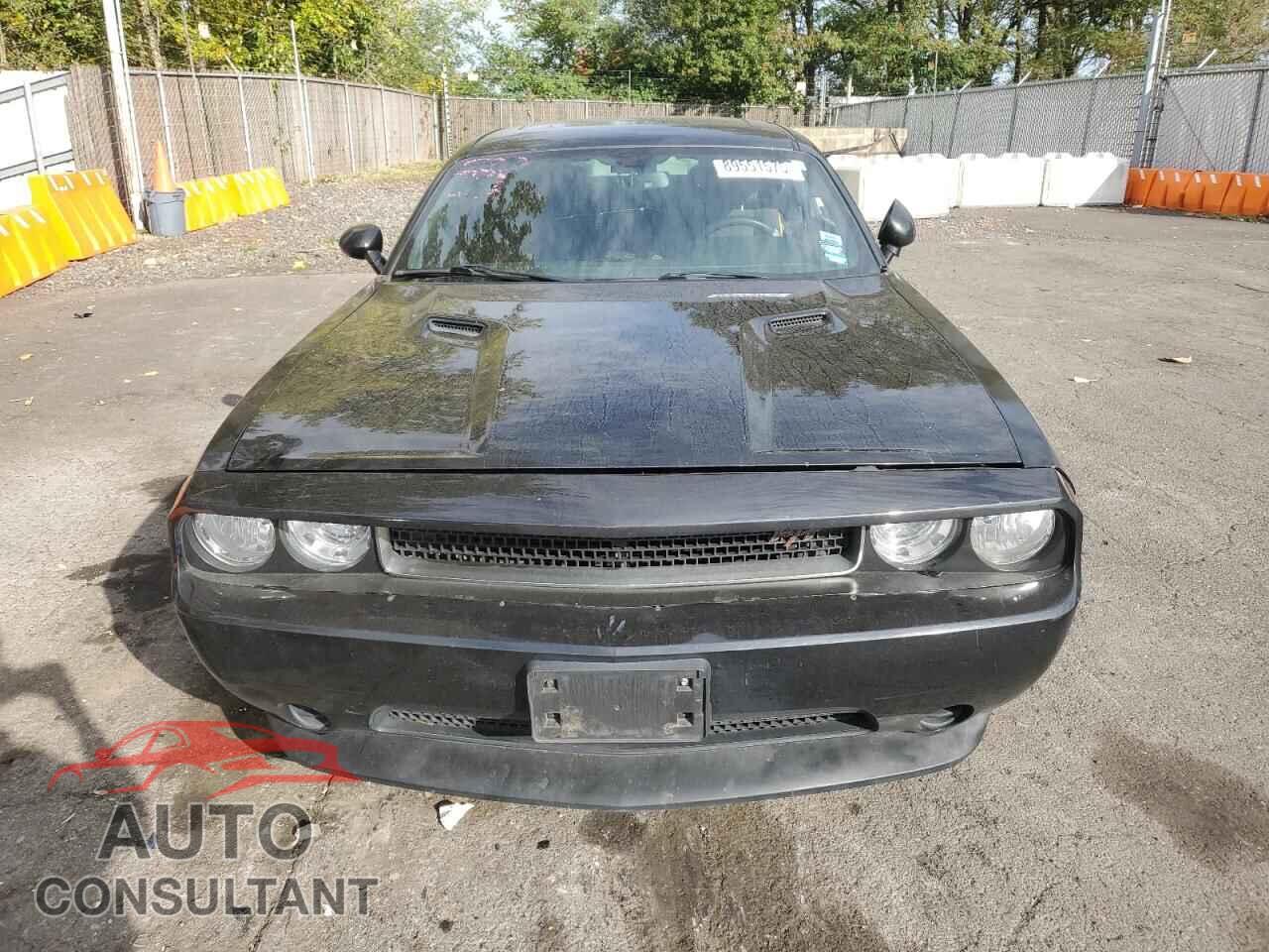 DODGE CHALLENGER 2014 - 2C3CDYAG9EH302888