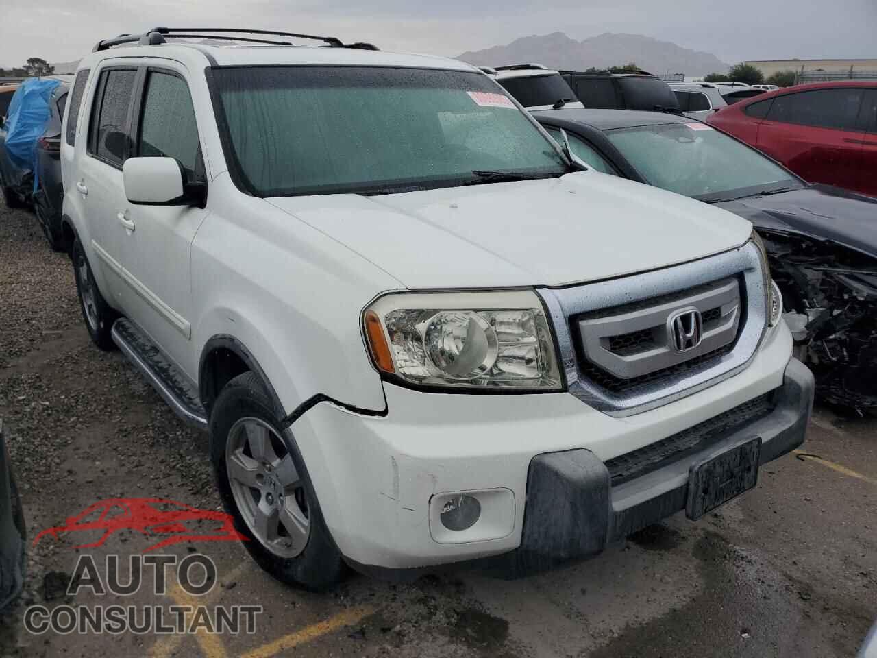HONDA PILOT 2009 - 5FNYF48509B040828