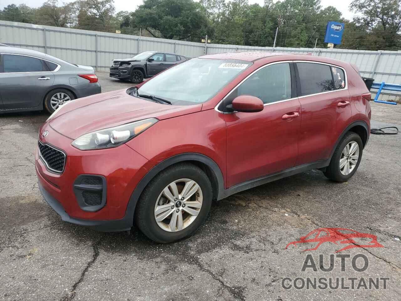 KIA SPORTAGE 2019 - KNDPM3AC5K7513722