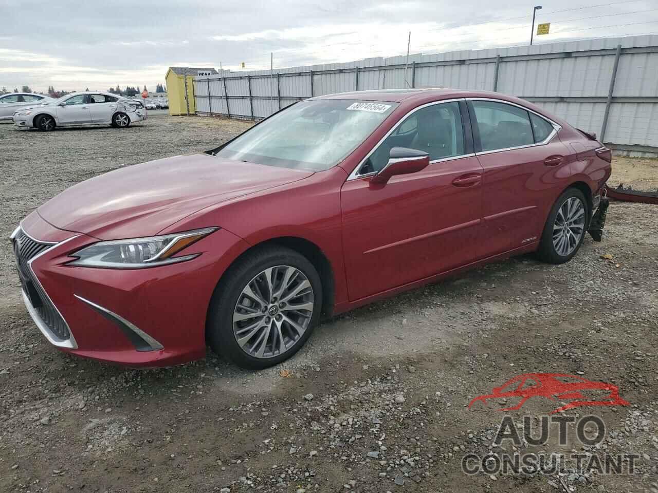 LEXUS ES300 2019 - 58AB21B15KU002020