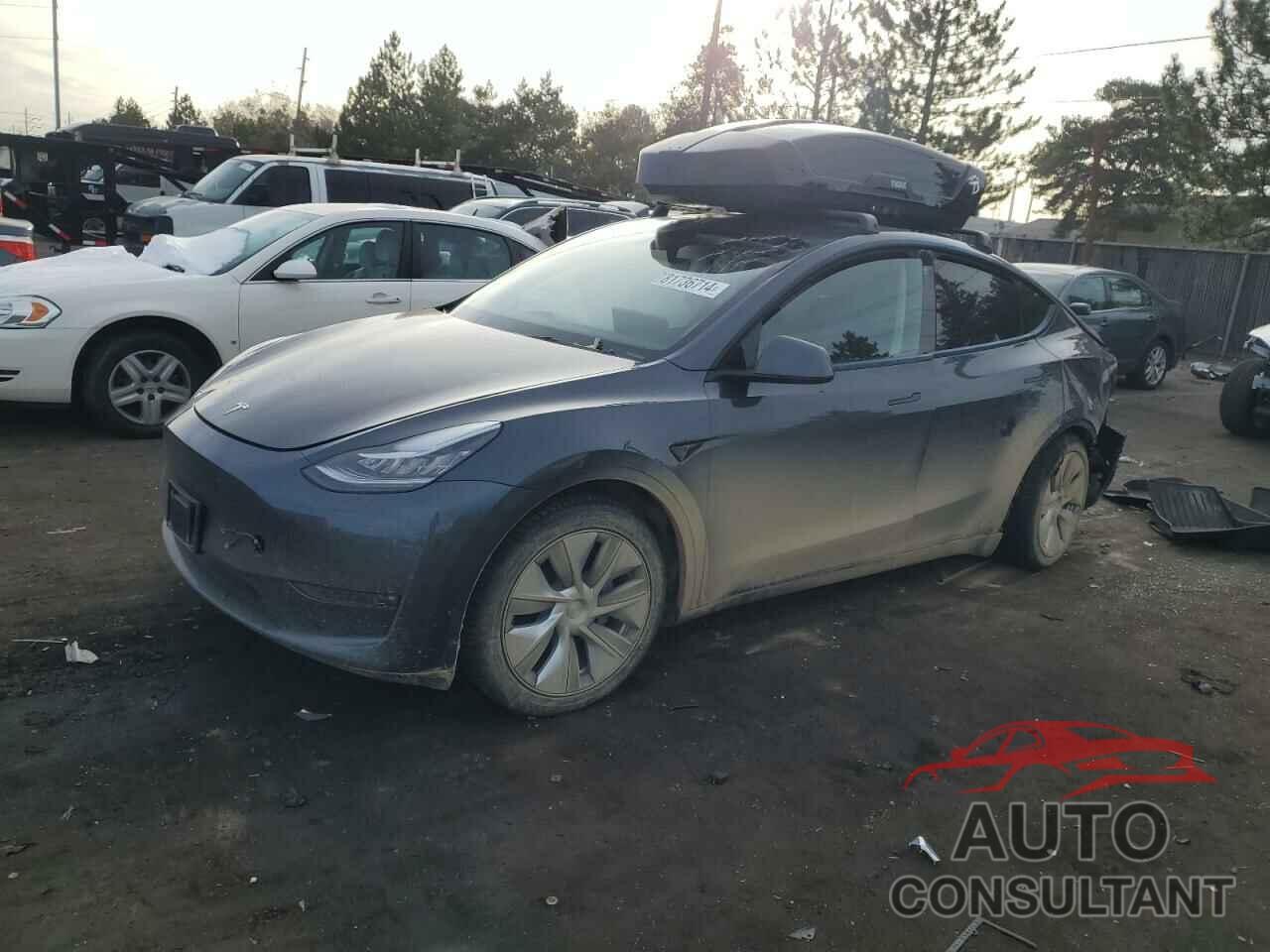 TESLA MODEL Y 2023 - 7SAYGAEE3PF618517