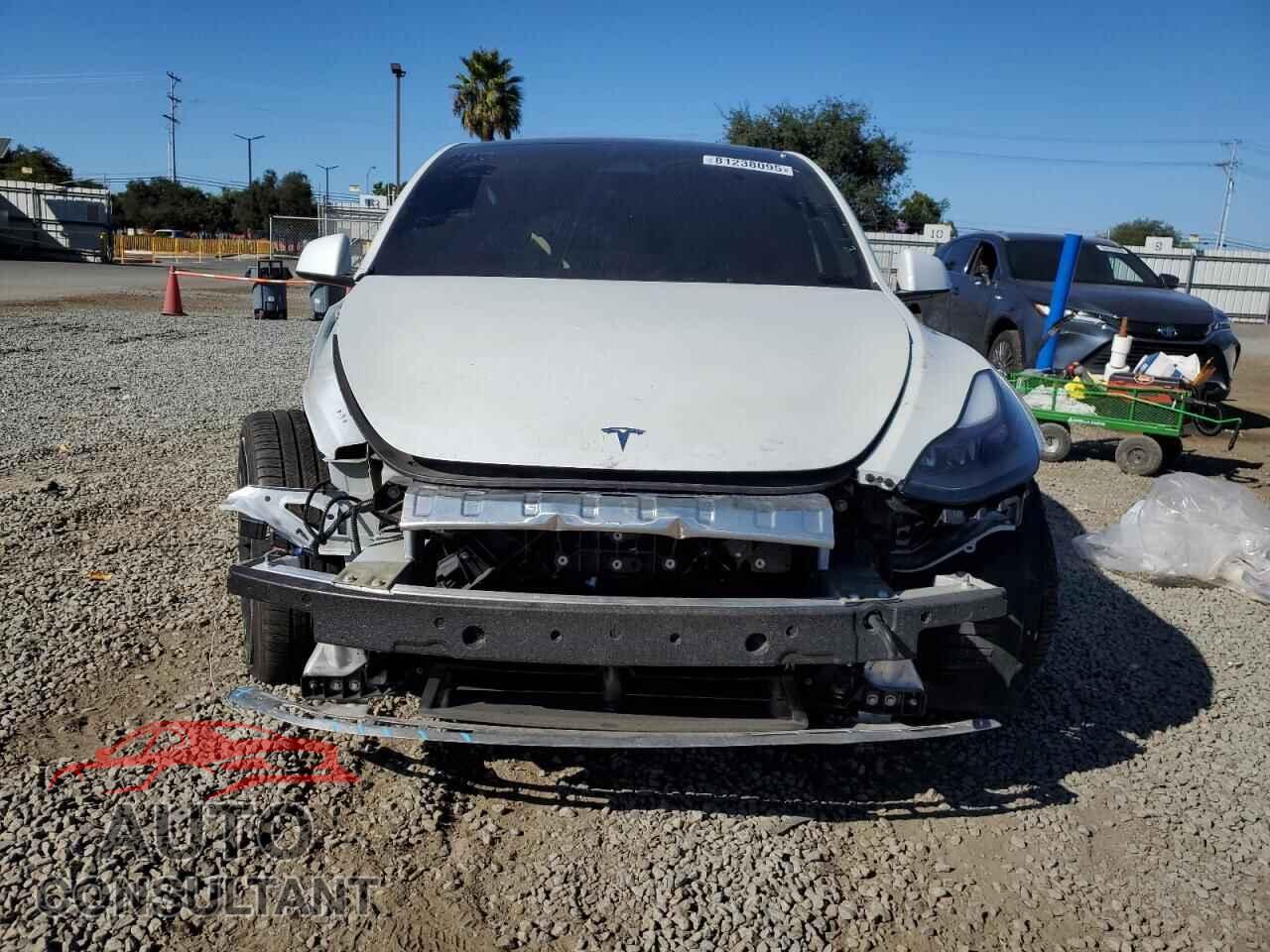TESLA MODEL Y 2024 - 7SAYGDEF0RF021676