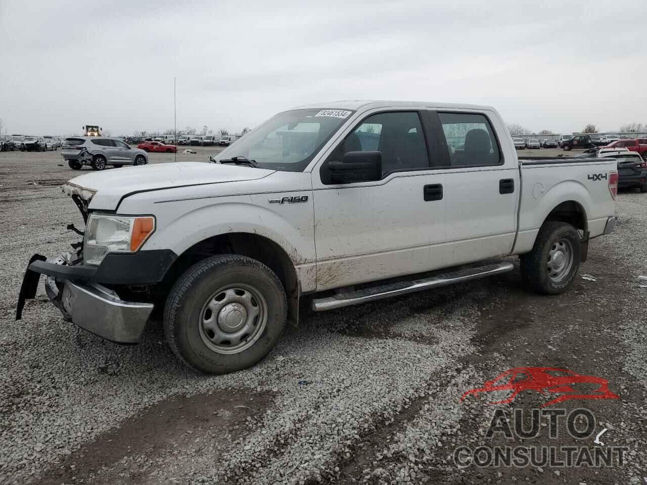 FORD F-150 2013 - 1FTFW1EF4DFD70236