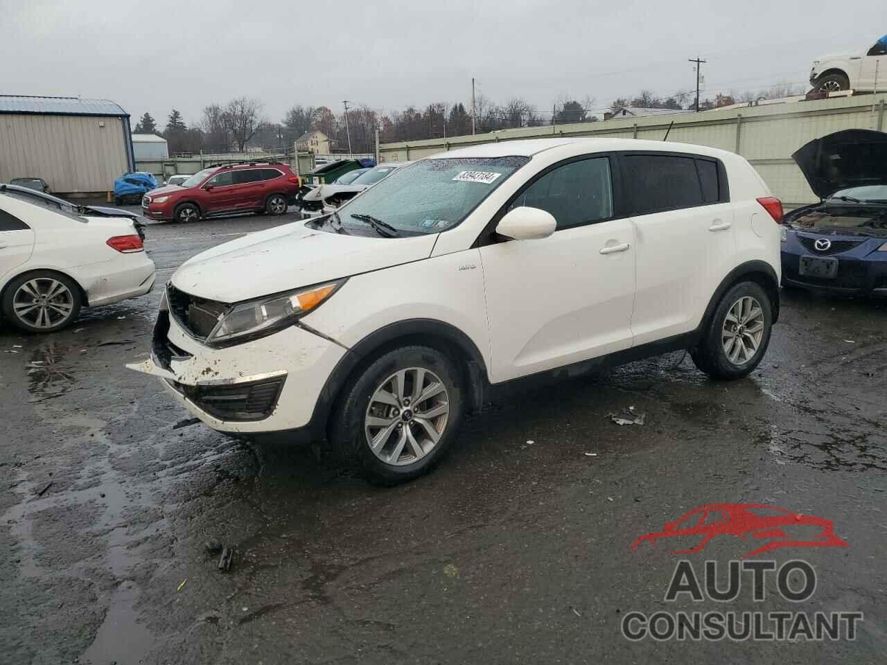 KIA SPORTAGE 2016 - KNDPBCAC0G7875888