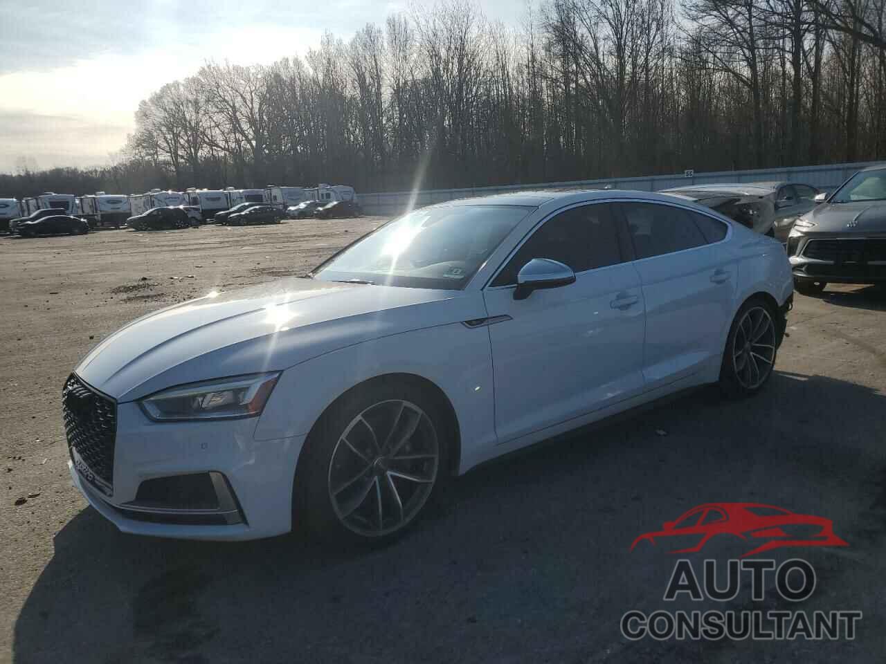 AUDI S5/RS5 2018 - WAUB4CF53JA071249