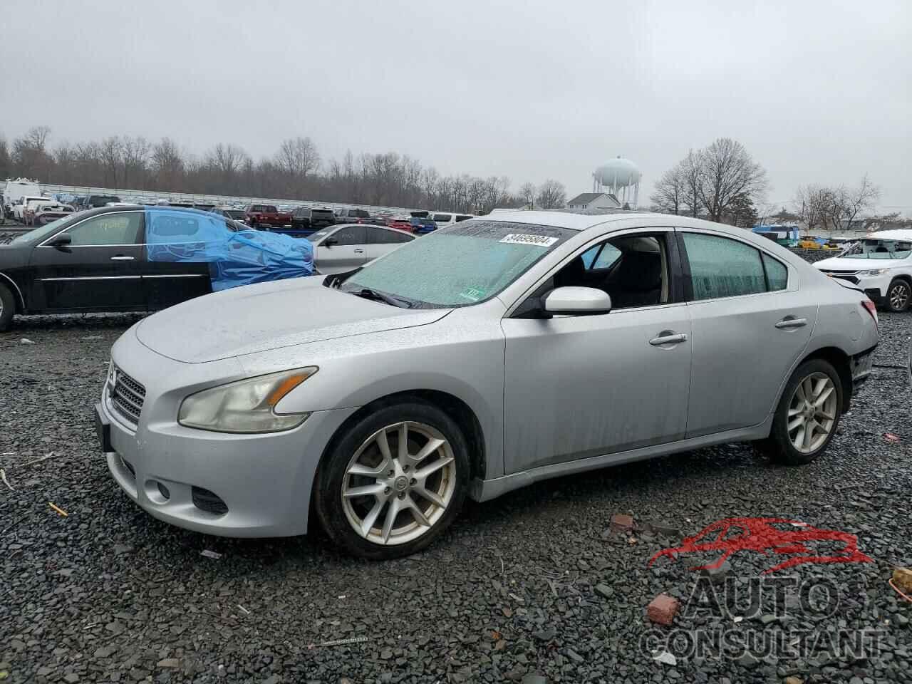 NISSAN MAXIMA 2009 - 1N4AA51E49C852961