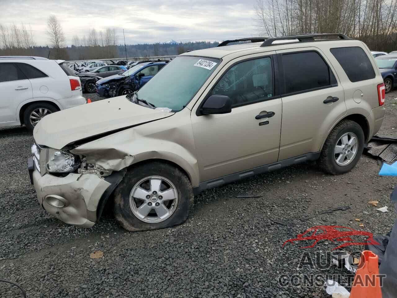 FORD ESCAPE 2011 - 1FMCU9DGXBKA87244
